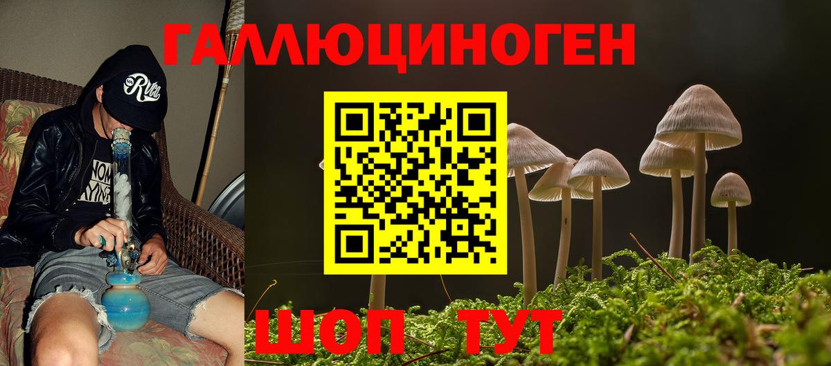 Псилоцибиновые грибы Psilocybe  Вход с VPN  Новокузнецк 
