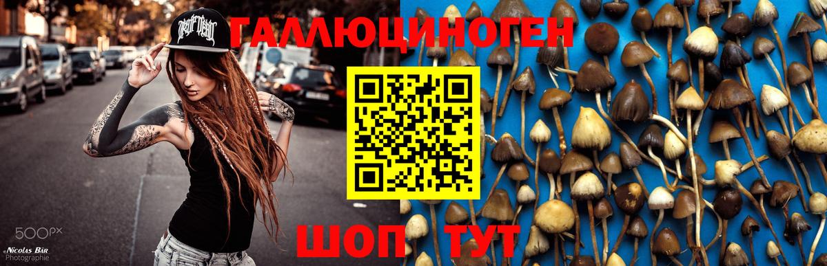 Псилоцибиновые грибы Magic Shrooms Новокузнецк